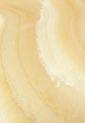 Alabaster ONYX WHITE